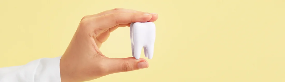 Services in Hazlet NJ